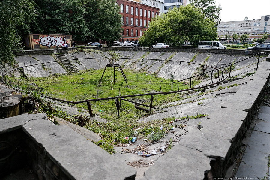 Фото — Виталий Невар, «Новый Калининград»