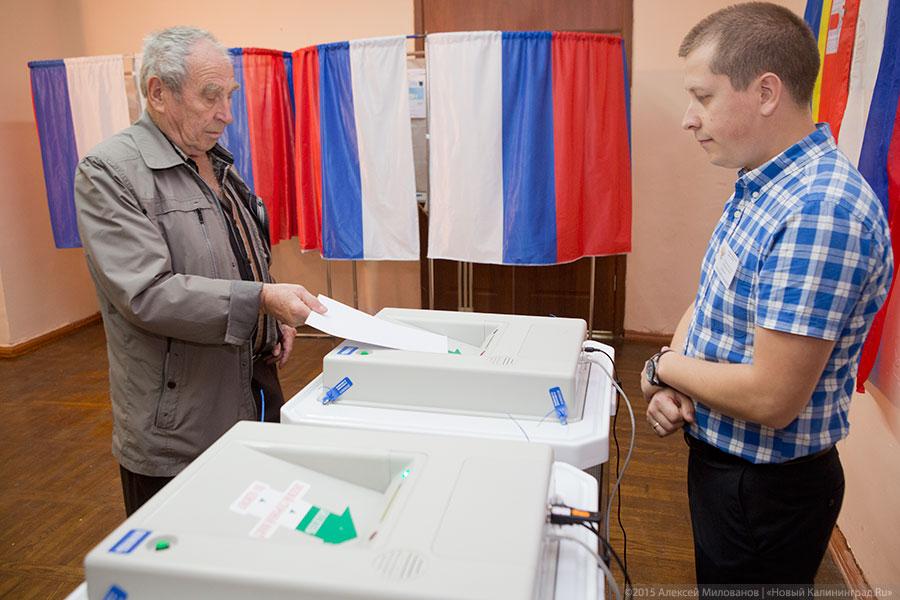 Спрос под стать предложению: как прошёл день голосования в Калининграде