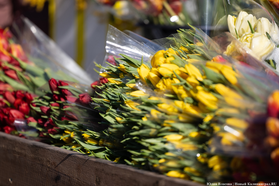 Цветочные баррикады: как выглядят улицы Калининграда 8 марта (фото)