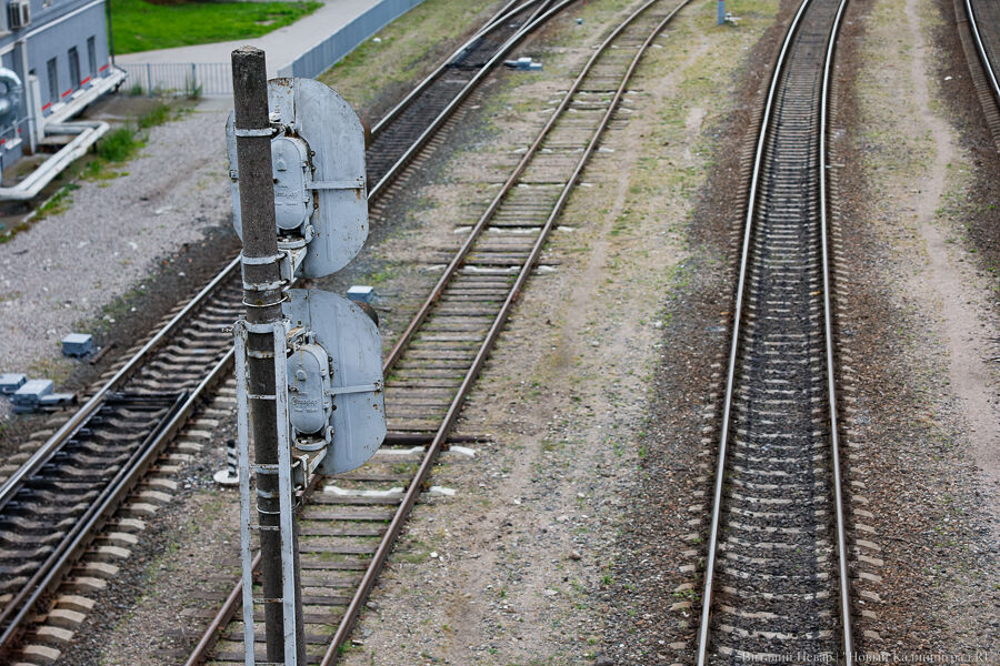 КЖД: 4 ноября пригородные поезда будут курсировать по расписанию выходного дня