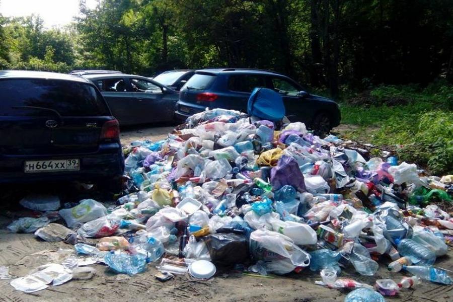 Губернатор потребовал решить проблему с мусором в курортных городах