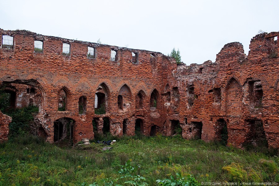 Денис Туголуков / Новый Калининград