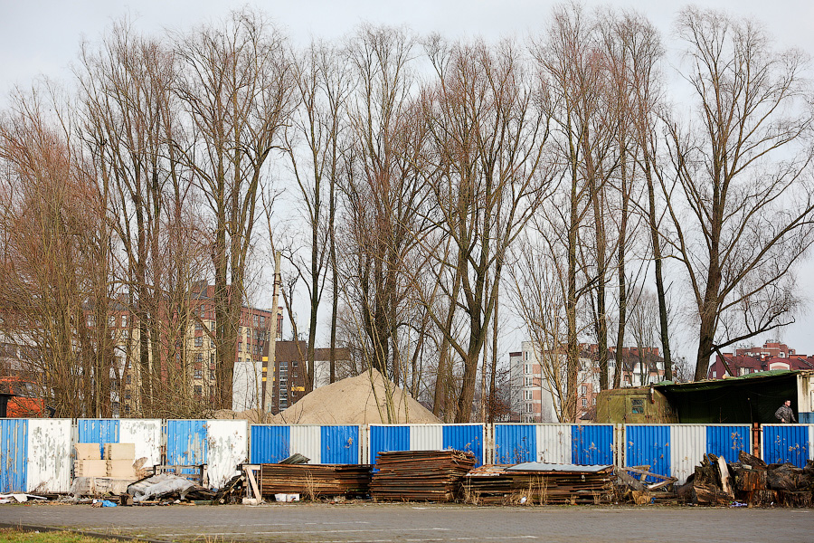 Минус 1,5 тыс. деревьев: на ул. Невского начались вырубки из-за строительства кампуса БФУ (фото)