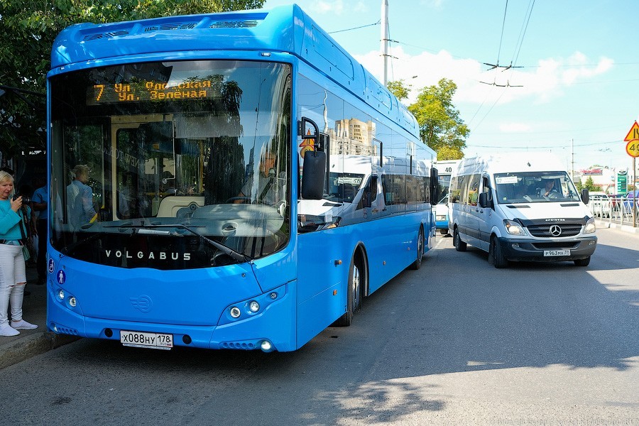 Автобус с розеткой: как в Калининграде испытывают новый вид транспорта