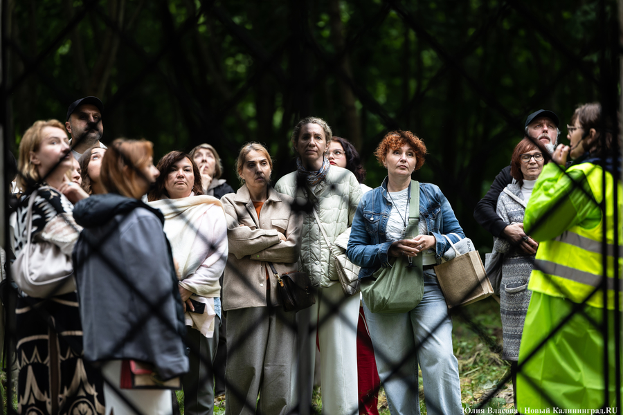 «Назад в будущее»: как прошла «Музыкальная экспедиция» в кирхе Святой Барбары (фото)