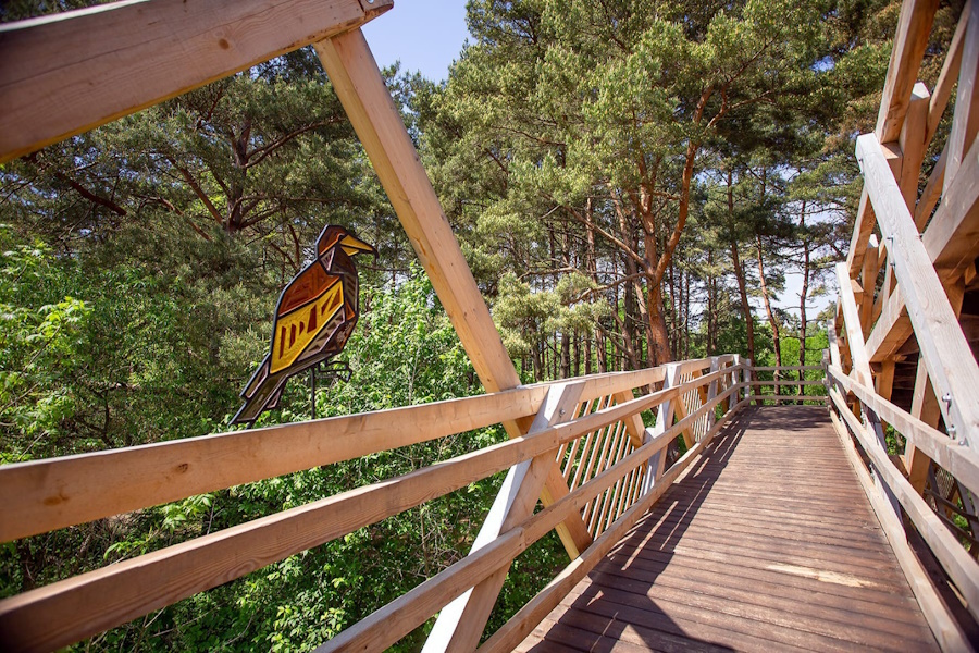 Нацпарк «Куршская коса» намерен приспособить ряд своих объектов для инвалидов