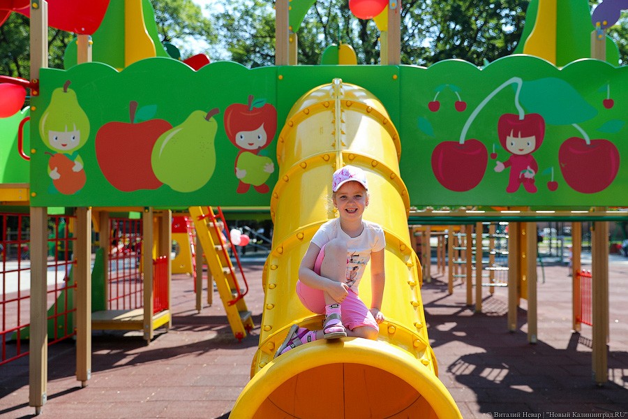 Все мы разные, все мы равные: в Калининграде открыли инклюзивный парк (фото)