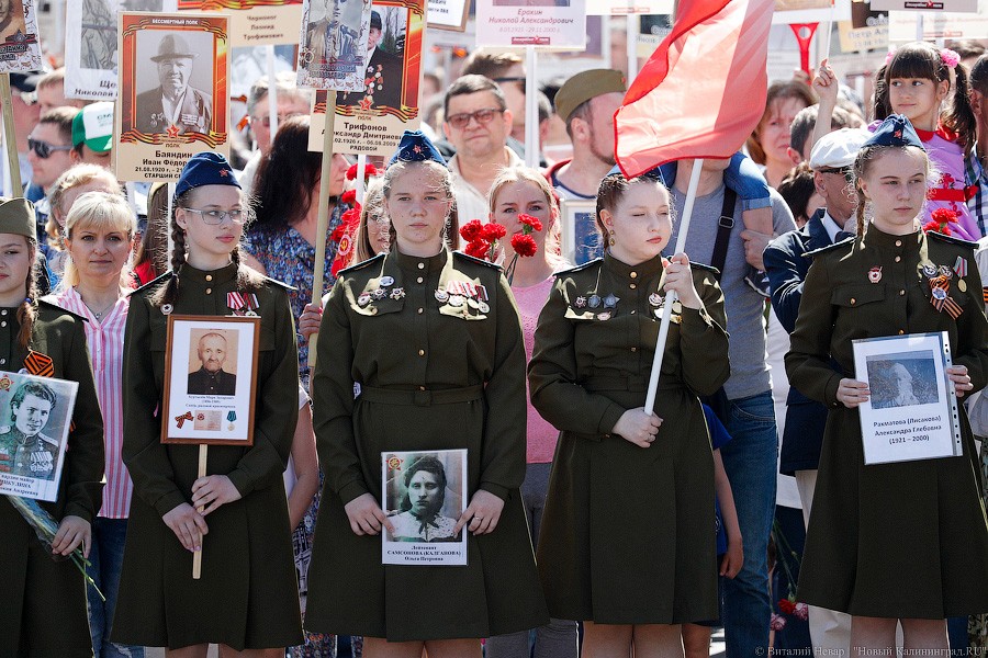 Ради мира на земле: шествие «Бессмертного полка» в Калининграде (фото)