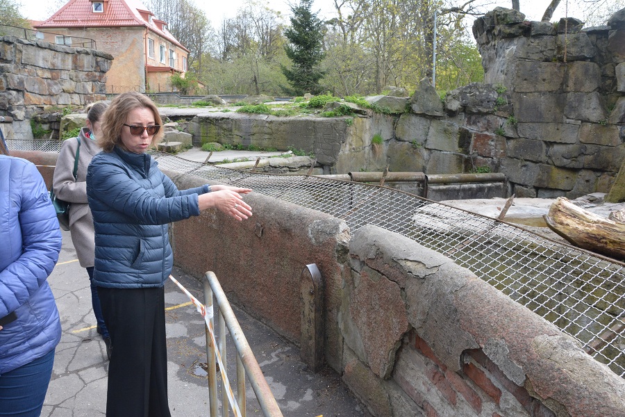 Если скала упадет, медведь выйдет на улицу: в зоопарке показали аварийный медвежатник