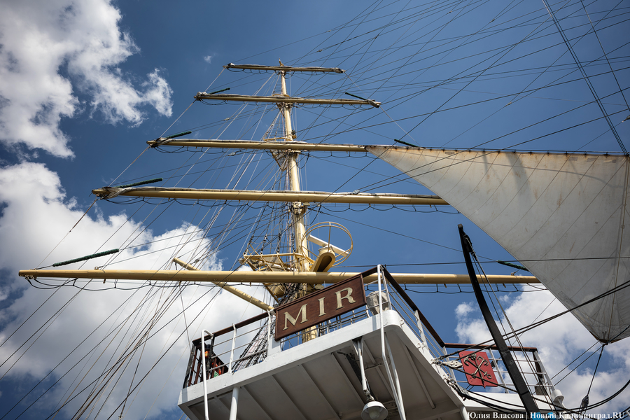 Верёвки, мачты, моряки: в Калининграде открылся фестиваль «Паруса Мира» (фото)
