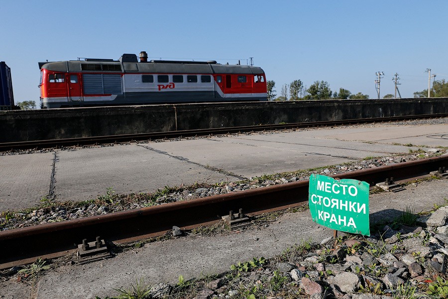 В Светлогорске под колесами электрички погибла пожилая женщина