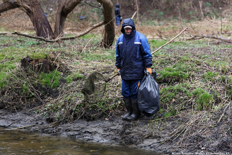 «Коммунальный Новый год»: как в Калининграде прошёл общегородской субботник