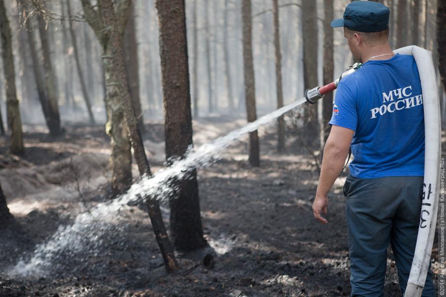 Когда рассеялся дым: после локализации лесного пожара на Куршской косе (фото)