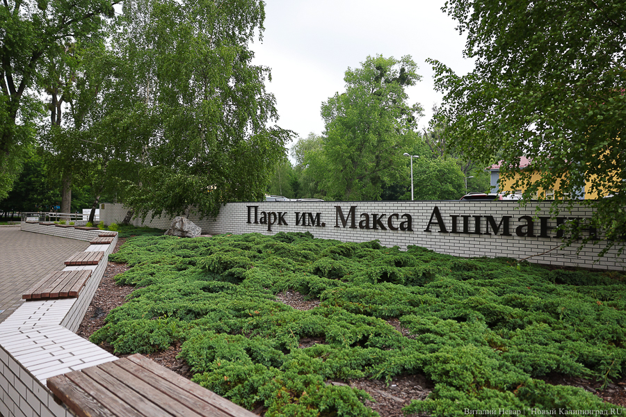 Власти пообещали не превращать Макс-Ашманн парк в советский парк культуры и отдыха
