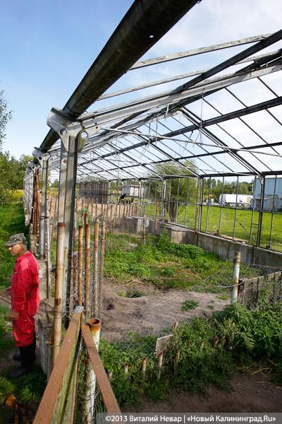 Естественный отбор: что творится за забором Службы защиты животных (фото)