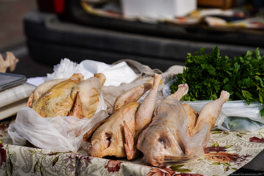 Базар-вокзал: как проходит сельхозярмарка на площади Победы в Калининграде