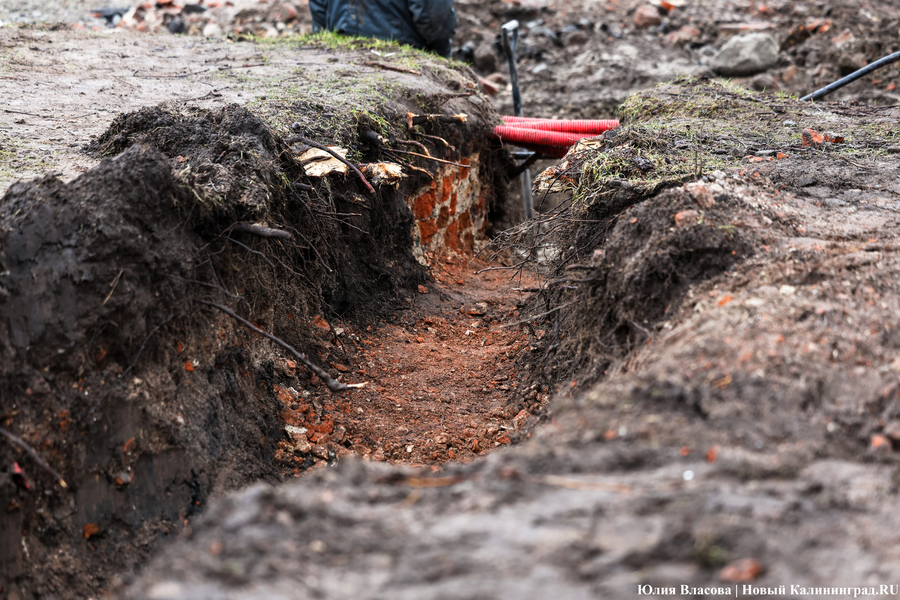 Руины Кнайпхофа: как проходит подготовка к благоустройству острова Канта (фото)