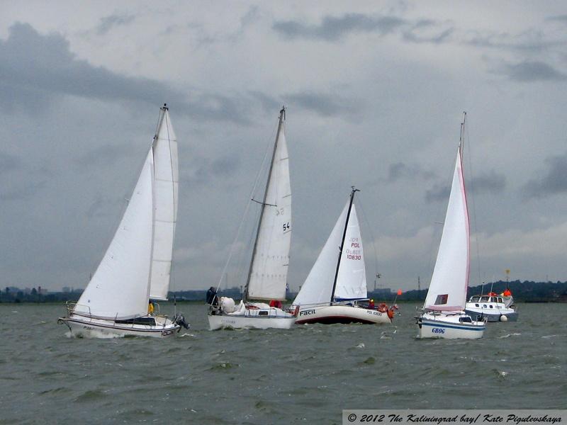 «Чемпионы залива»: репортаж с трансграничной регаты на кубок Калининградского залива