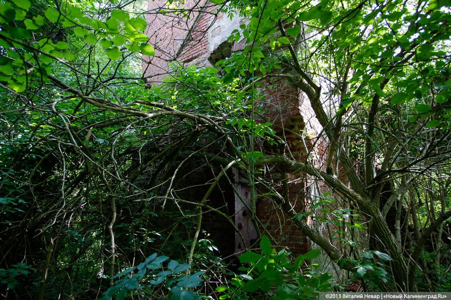 По следам Первой мировой: памятники павшим в Гвардейском районе