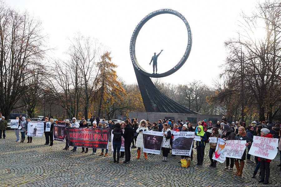 За что нас убивают?: как в Калининграде митинговали в защиту животных