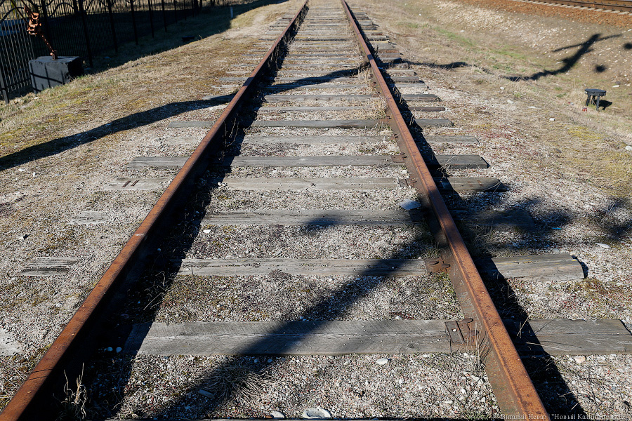 Под Гусевом машинисту грузового поезда пришлось экстренно тормозить из-за детей на путях