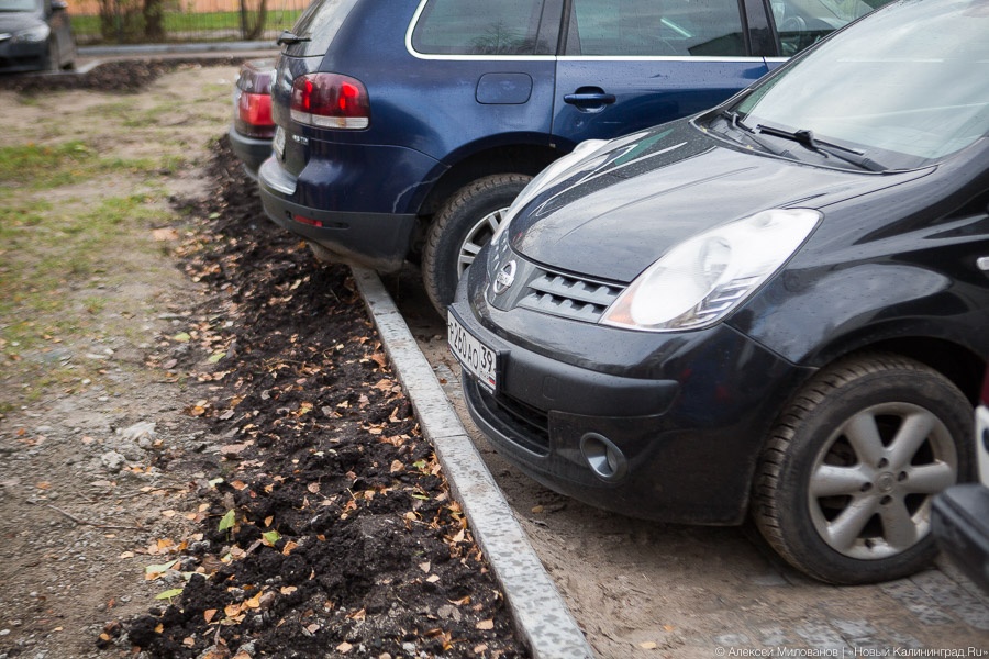 Фото — Алексей Милованов, «Новый Калининград»