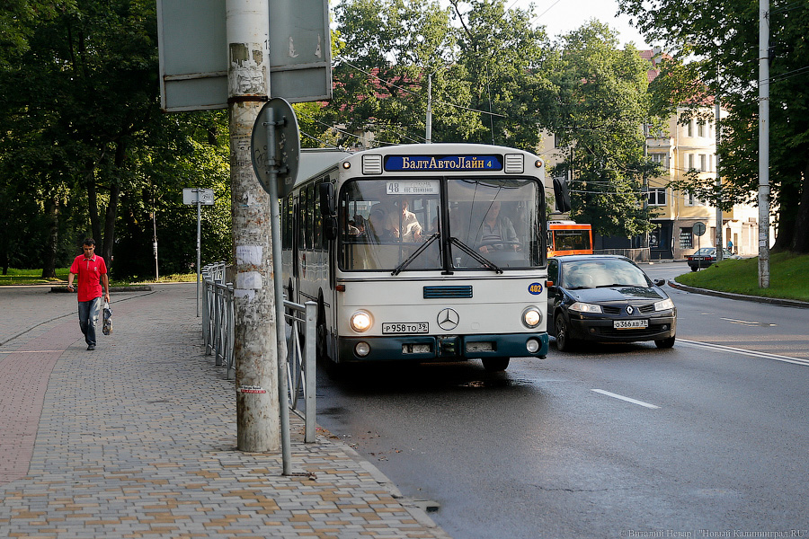 Неуловимый мститель: хроника борьбы мэрии с пошедшим ва-банк «БалтАвтоЛайном»