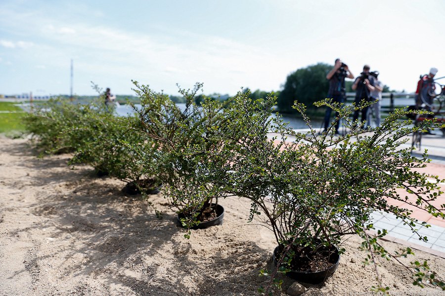 «Чего-то не хватает»: как Цуканов с Набережной Ветеранов разбирался