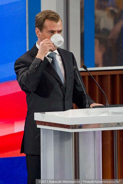 "Олень на 100%": фоторепортаж "Нового Калининграда.Ru"