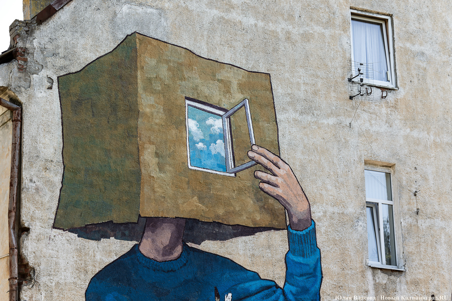 То, чему предстоит стать классикой: на зданиях БФУ им. Канта нарисовали четыре мурала (фото)