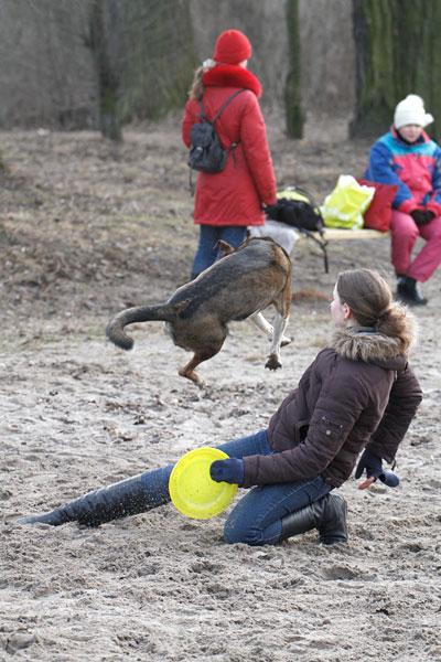 «Главные по тарелочкам»: фоторепортаж с соревнований по дог-фрисби