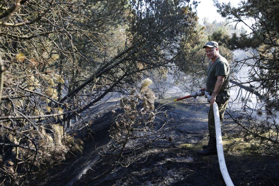 Пожар на дюне Эфа: возгорание на Куршской косе тушили вертолёты