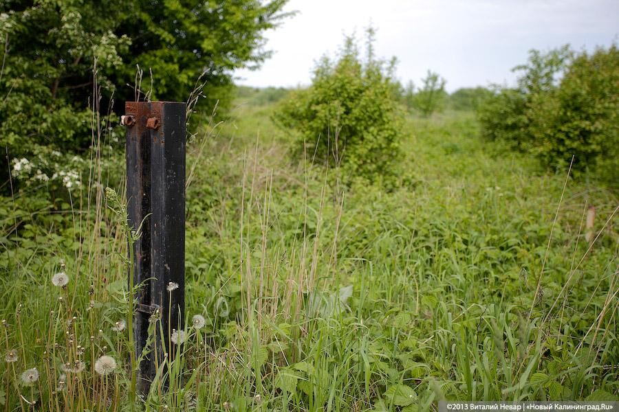Власти переводят участок сельхозназначения в Полесском районе под кладбище