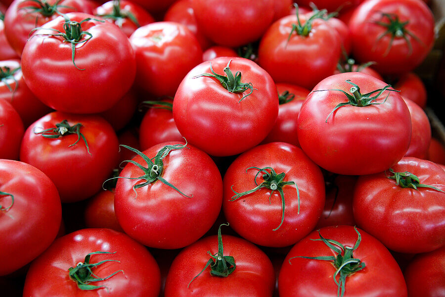 Облвласти связали высокие цены на местные помидоры с выращиванием их в теплицах