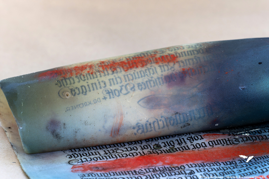 Эхо прошлого: в Калининградском зоопарке извлекли 94-летнюю «капсулу времени» (фото)