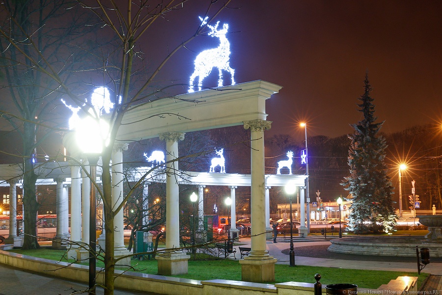 Власти Калининграда хотят раздать 220 тыс. рублей за самое красивое новогоднее оформление