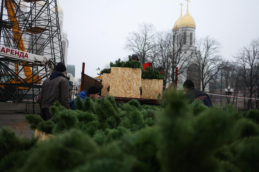 От каркаса до игрушки: в Калининграде собрали главную городскую елку