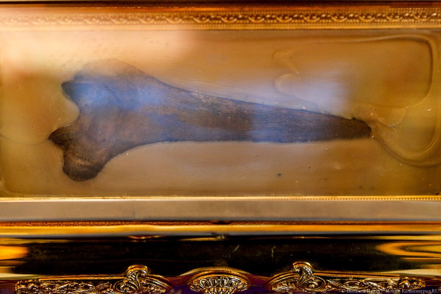 От психбольницы до лавры: в Калининград привезли православные реликвии (фото)