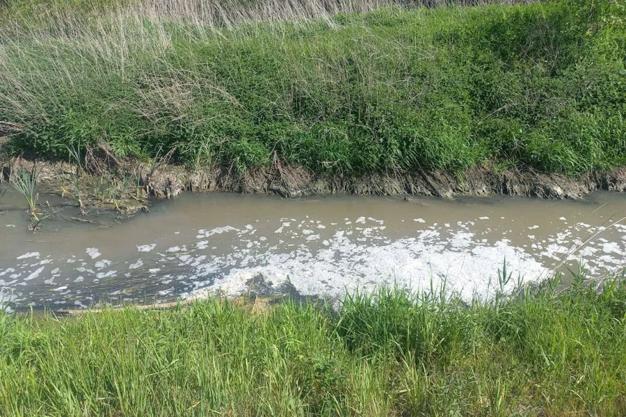 Суд обязал «Балтптицепром» обеспечить очистку сточных вод, сбрасываемых в Граевку