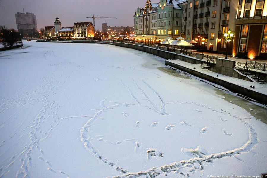 Калининградцы изобразили 30-метровый пенис у туристического комплекса (фото)