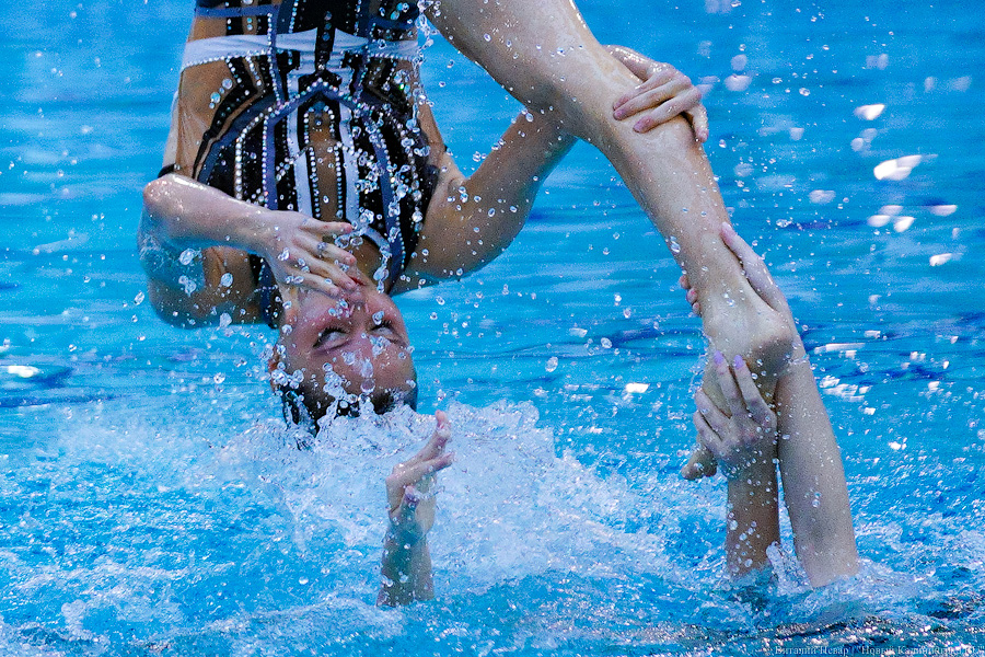 В Калининграде проходит Кубок России по синхронному плаванию. Вот как это выглядит (фото)