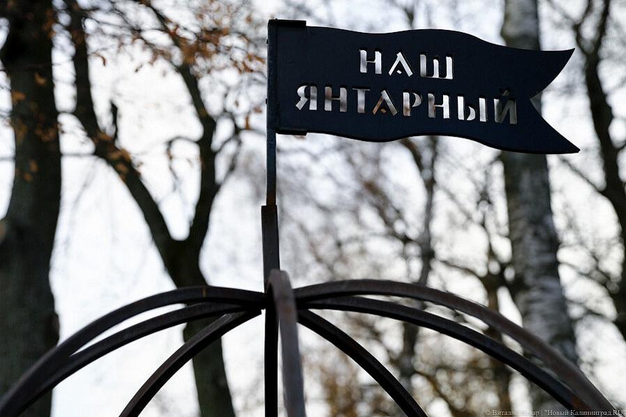 Совет депутатов Янтарного не назначал заседания по вопросу увольнения Заливасткого