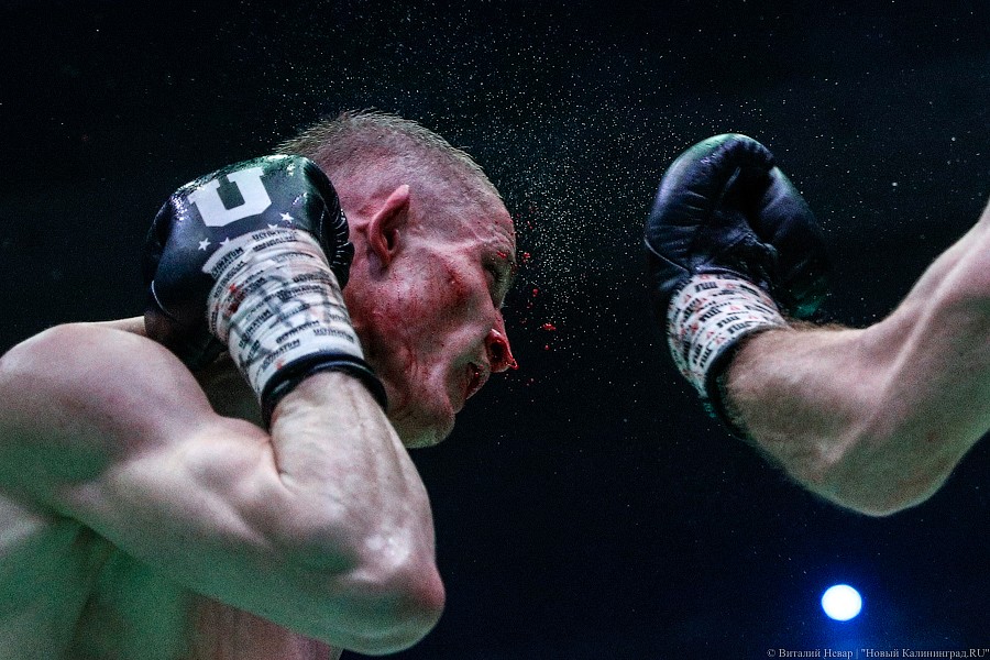 Раздельным решением судей: Чухаджян взял титул WBA International в Калининграде