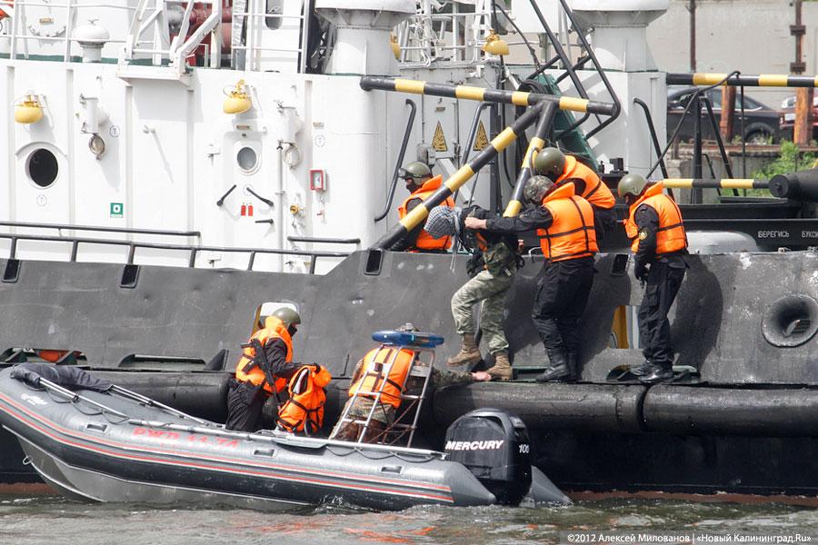 «Под флагом Башара»: фоторепортаж с антитеррористических учений