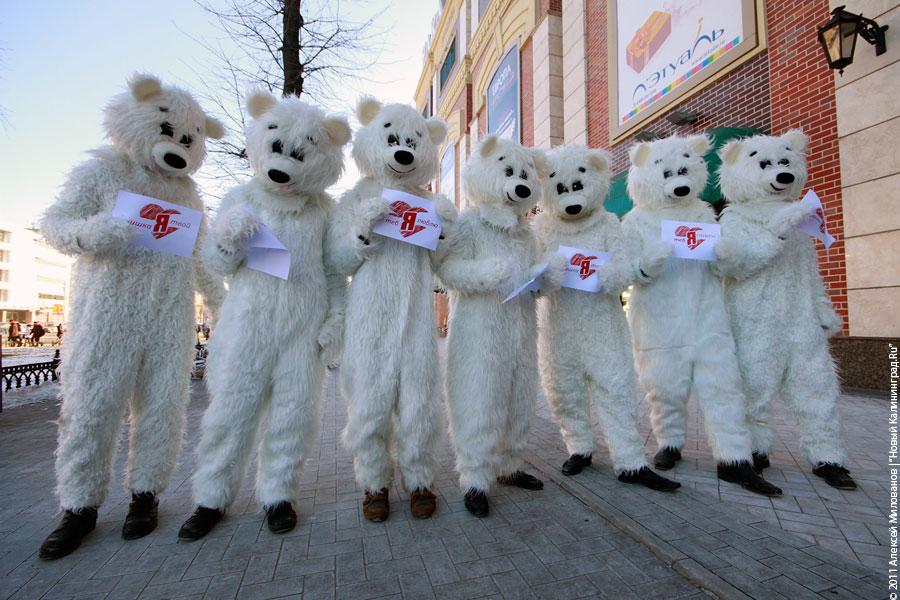 Медвежье сердце и рогатая любовь: фоторепортаж "Нового Калининграда.Ru"