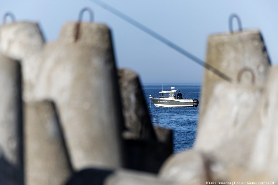 По несколько рыбин за раз: в Балтийске начался массовый лов салаки