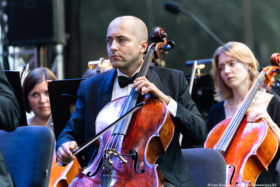«Территория мира — Территория музыки»: как проходит open-air классической музыки