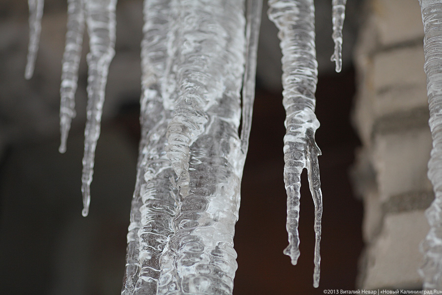Власти Калининграда предупреждают о падающих сосульках и лавинном сходе снега