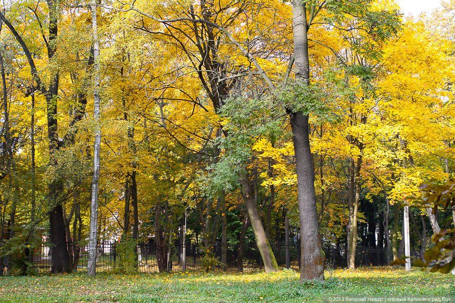 Днём совсем не страшно: осенний Балтийский парк