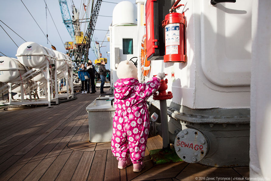 Дадим по струнам: Борислав Струлёв выступил на борту барка «Крузенштерн»